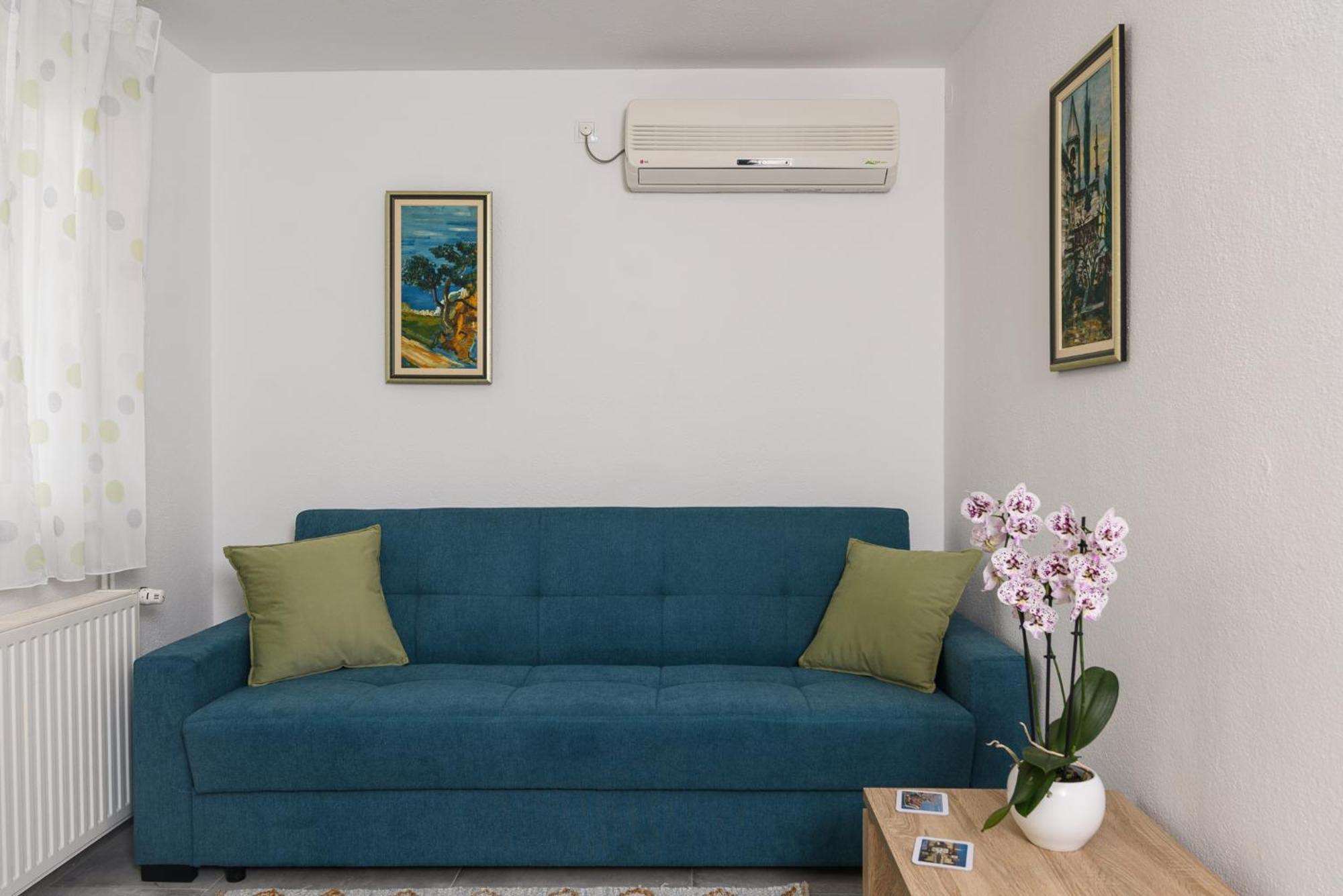 טרוגיר Apartman Karic מראה חיצוני תמונה